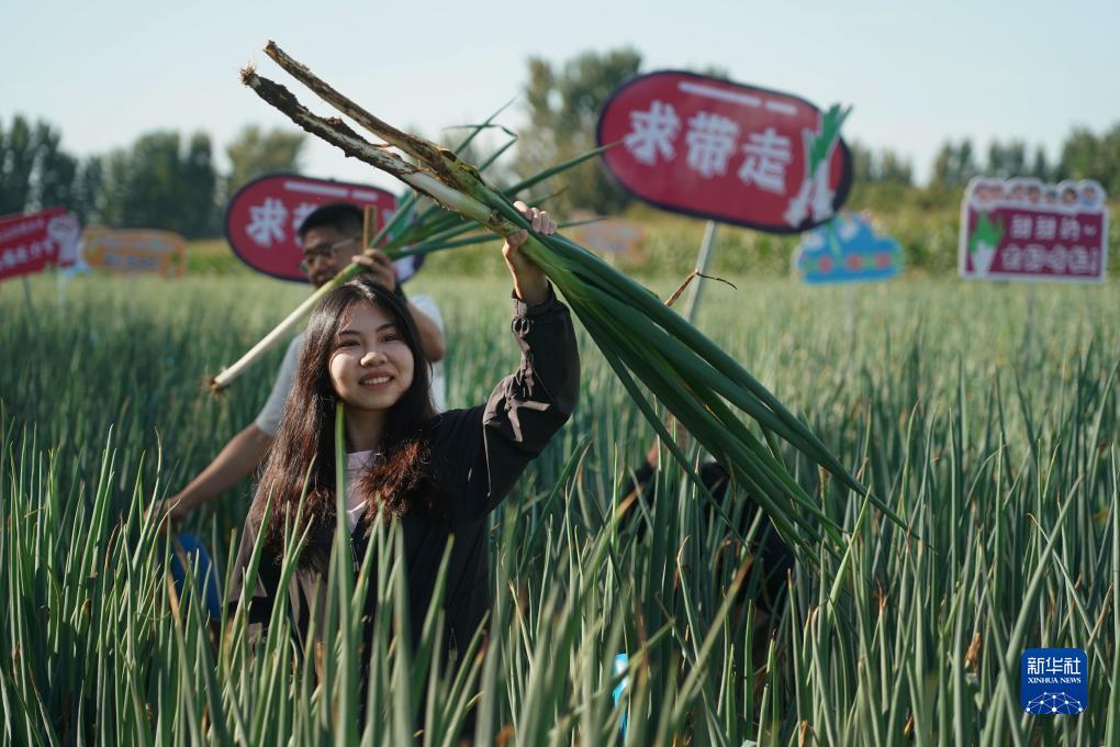 百盈足球苹果